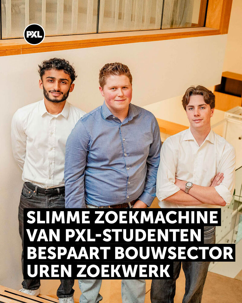 professioneel bachelor